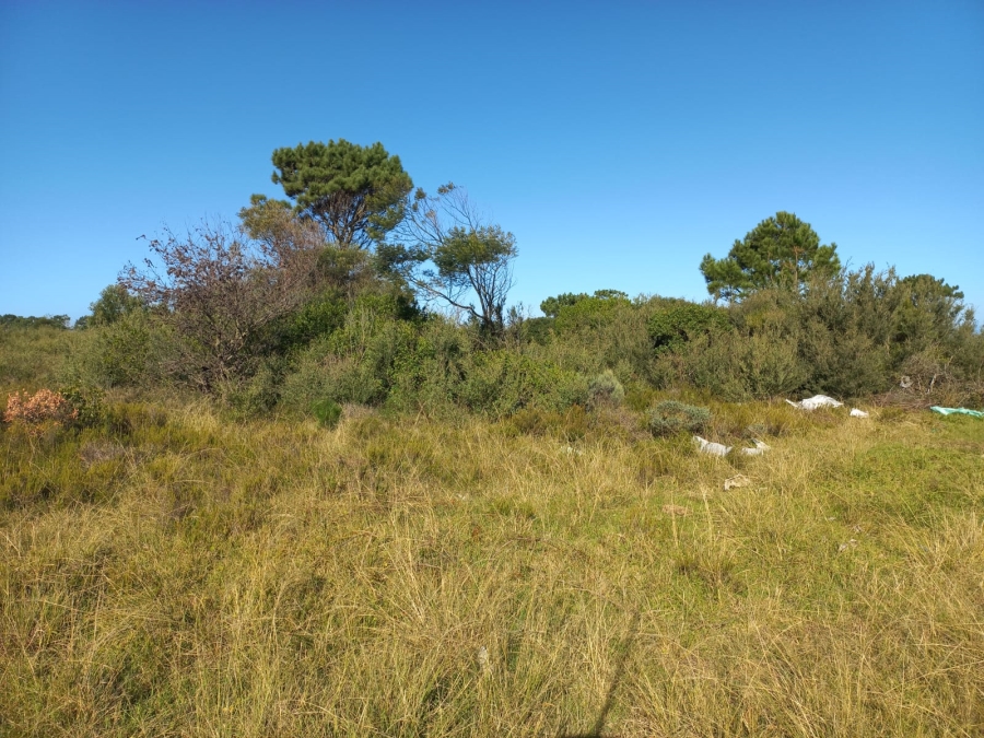 0 Bedroom Property for Sale in Kranshoek Township Western Cape